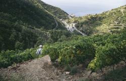 Cinque Terre! 