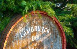 lambrusco