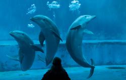 Aquarium in Genoa, Liguria