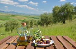 olive oil in Tuscany 