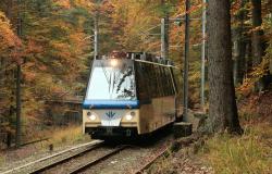 The Foliage Train riding amid fall colors and woods