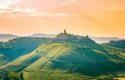 piemonte delights 