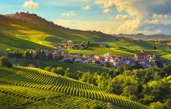 Langhe vineyards landscape