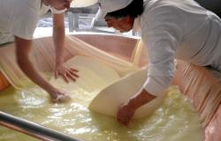 Food, Culture and Wellness in the Hidden Emilia Romagna with Italia Sweet Italia