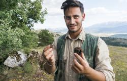 Truffle Hunting 