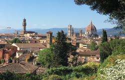 Florence Tours