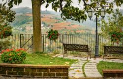 view of barolo vineyards in piedmont