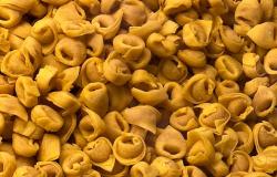 THE KING OF BOLOGNESE PASTA FRESCA: IL TORTELLINO!!!