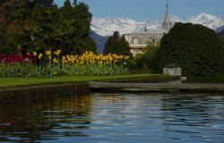 Lakeside garden