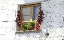 Basilicata food