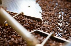 Coffee beans in roasting machine