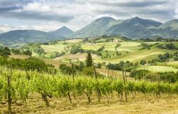 Study Italian in Le Marche