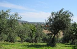 Brick, country house with front garden in a peaceful hamlet amongst other houses surrounded by rolling green hills  4