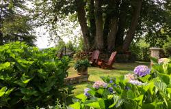 Side lawn with 250 yr old chestnut tree