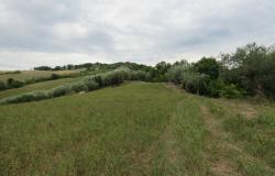 5 Hectares and 300sqm ruin in central Italy