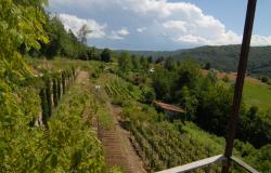 country house for sale langhe