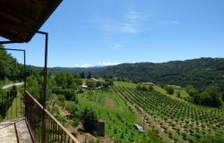 country house for sale langhe