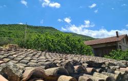 9 stone rooms with a barn of 200sqm, partly habitable with 200sqm of garden to restructure offering amazing views. 0