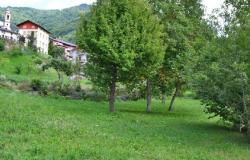 Spacious Apartment with Garden