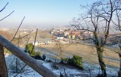 B&amp;amp;B for sale in Monferrato area with land