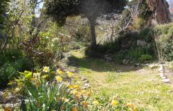 Farmhouse terraced garden