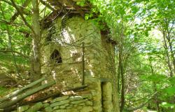 Original Stone Houses with 8 Hectares of Land - PMP004