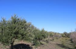 Property for Sale in  Rocca San Giovanni countryside  Chieti Province, in Abruzzo Central Italy.