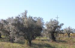 Property for Sale in  Rocca San Giovanni countryside  Chieti Province, in Abruzzo Central Italy.