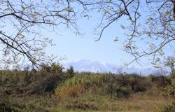 Property for Sale in  Rocca San Giovanni countryside  Chieti Province, in Abruzzo Central Italy.