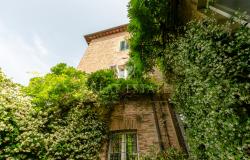 Il giardino d'estate nel Borgo 13