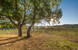 Farmhouse - Orciatico, Lajatico 7