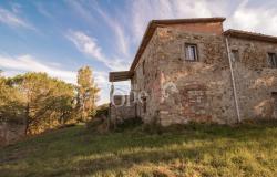 Farmhouse - Orciatico, Lajatico 13