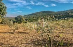 Farmhouse - Orciatico, Lajatico 2