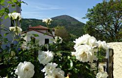 View from terrace