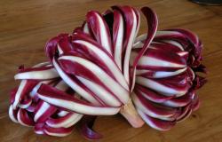 radicchio