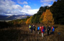 Hiking in Italy