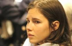 amanda knox