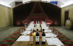 Wines in the cellar of Artimino wine estate in Tuscany