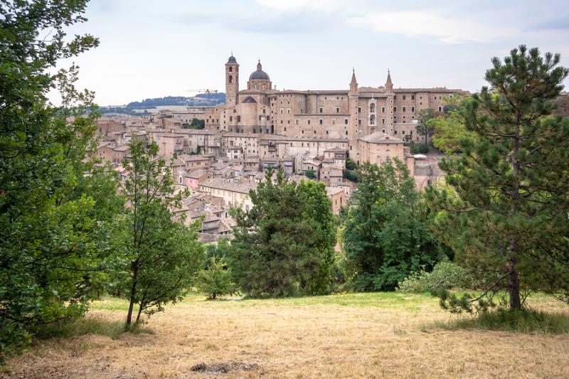 urbino