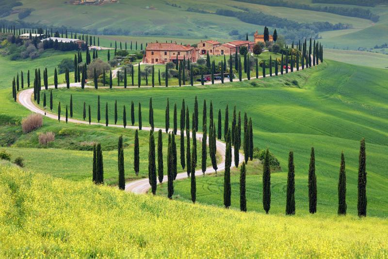 Typical Tuscan landscape