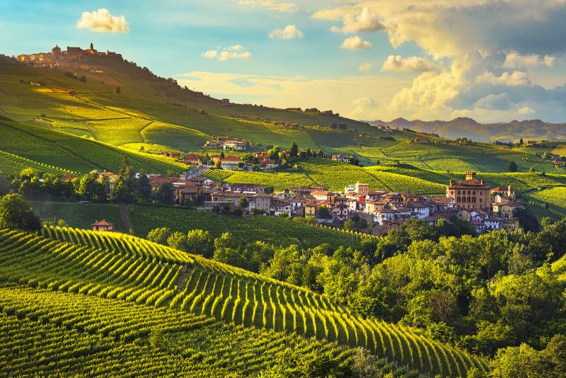 Langhe vineyards landscape