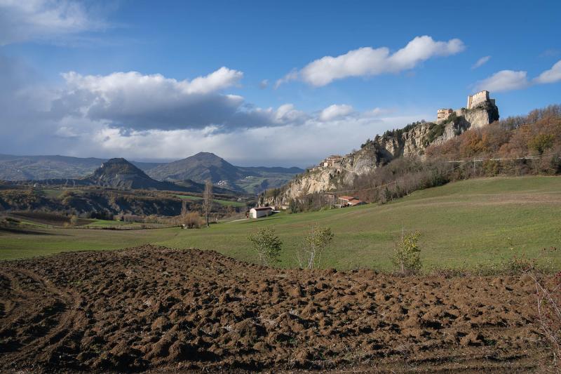 Agricultural landscape in Italy