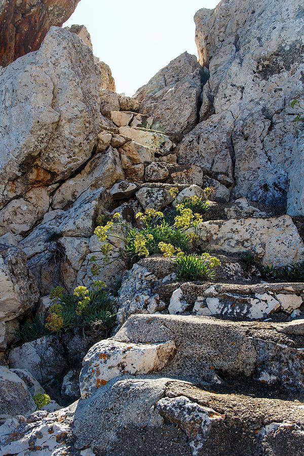 Stairs in the rock, Gagliano del Capo, Puglia