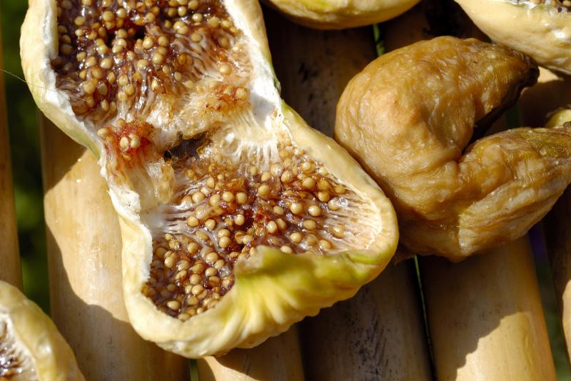 Figs drying out in the sun