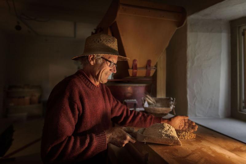 Bread production