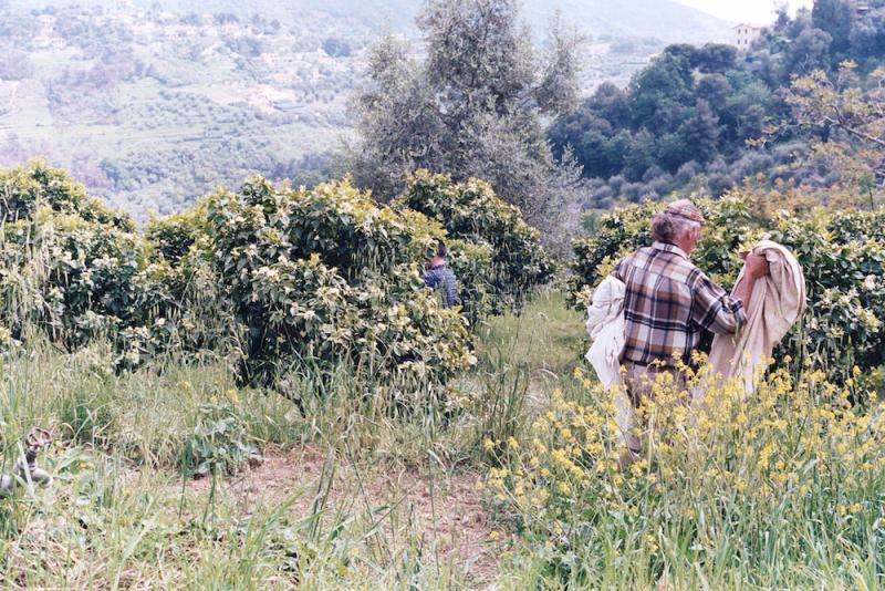 Celebrating the History and Traditions of Italian Citrus: Visiting La Vecchia Distilleria 