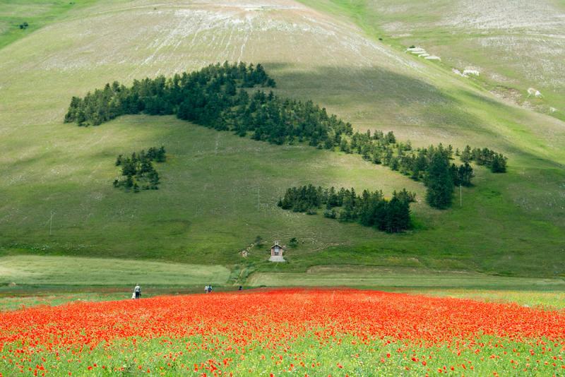 Sibillini