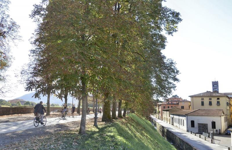 The walls in Lucca Italy 