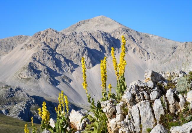 Cammino dei Briganti walk