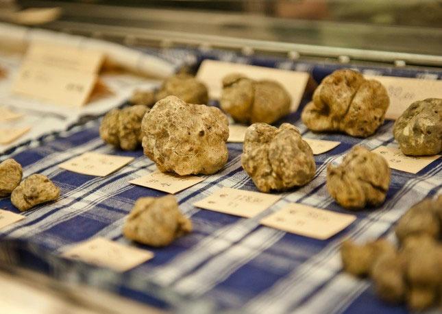 Alba white truffle